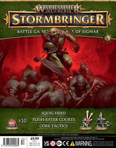 the cover of warhammer stormbringer battle game