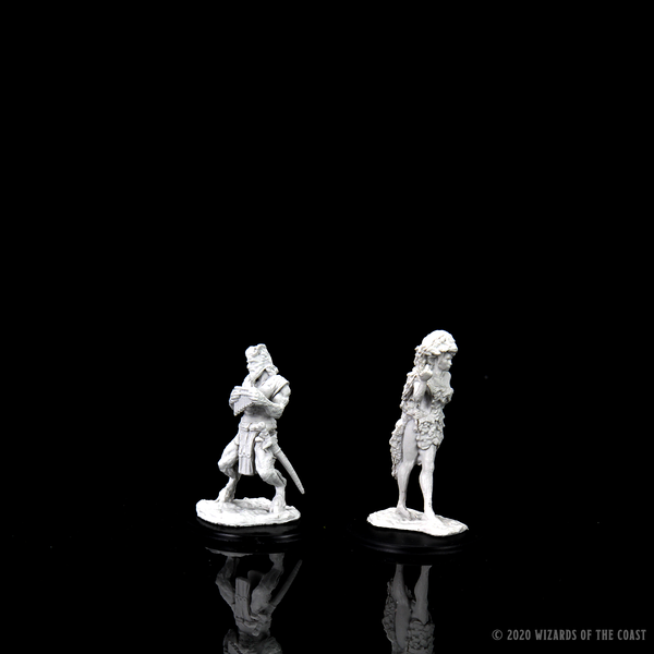 D&D Nolzur's Marvelous Miniatures - Satyr & Dryad packaging