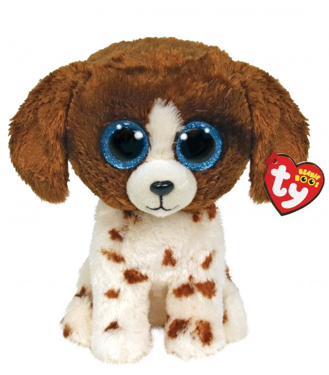 Muddles the Brown and White Dog