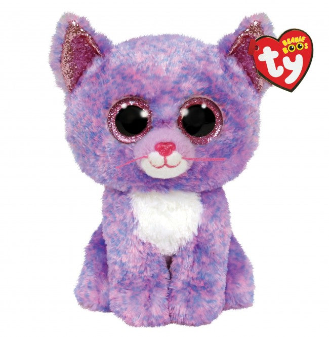Cassidy the Lavender Cat
