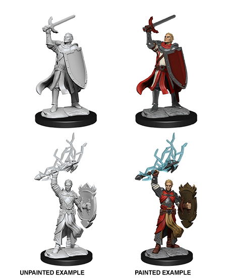D&D Nolzurs Miniature - Half-Elf Paladin