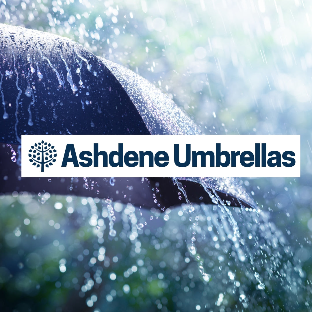 Umbrellas by Ashdene