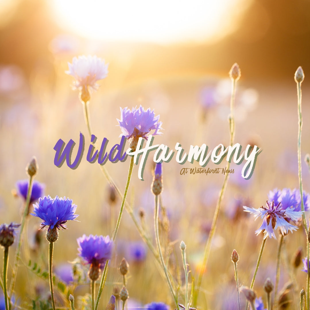 Wild Harmony Gifts