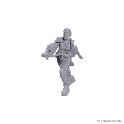 D&D Nolzurs Marvelous Miniatures Standard - Swashbuckler