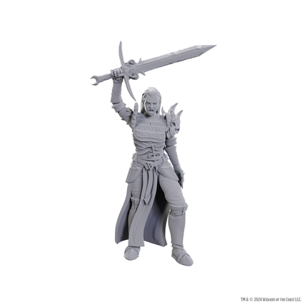 D&D Nolzurs Marvelous Miniatures Standard - Blackguard