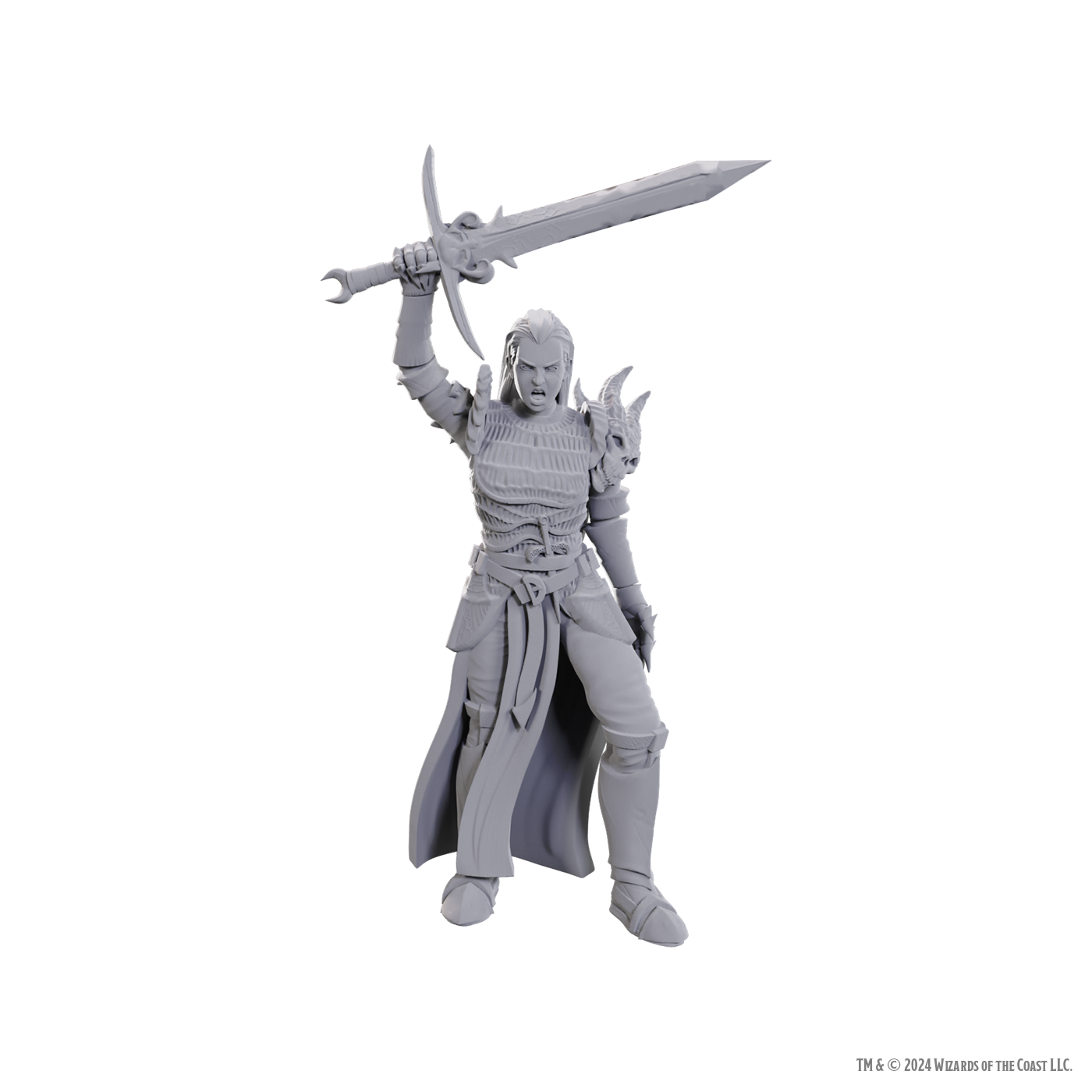 D&D Nolzurs Marvelous Miniatures Standard - Blackguard