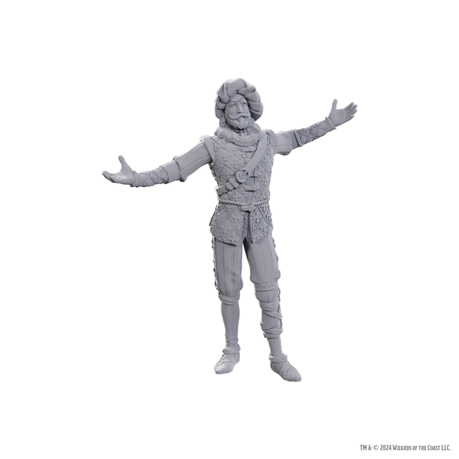 D&D Baldurs Gate 3 Nolzurs Miniatures - Volo and Withers
