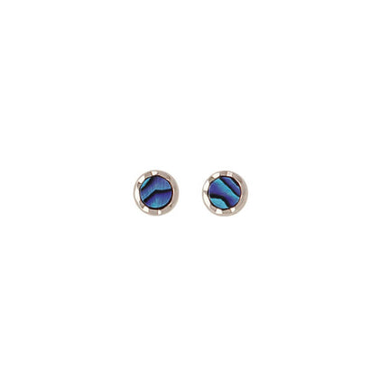 Paua Stud Earrings - Palladium Plated PE113