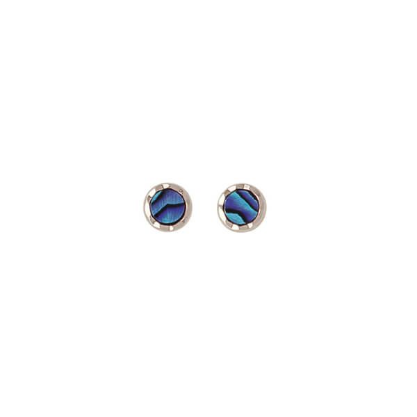 Paua Stud Earrings - Palladium Plated PE113