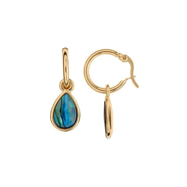 Paua Drop Earrings - Gold Plated PE486