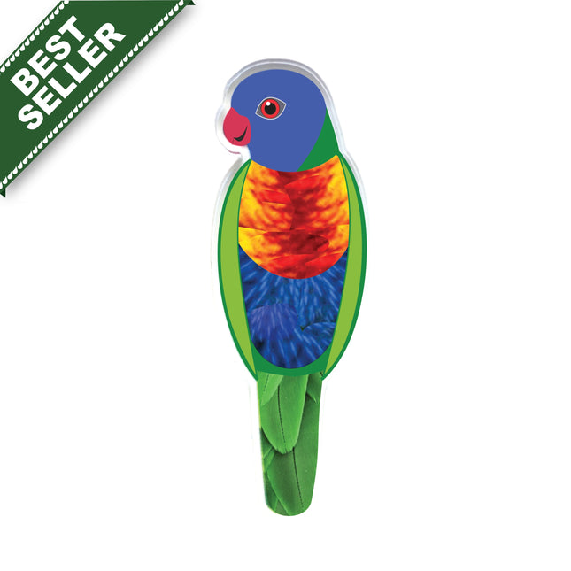 Rainbow Lorikeet Pin