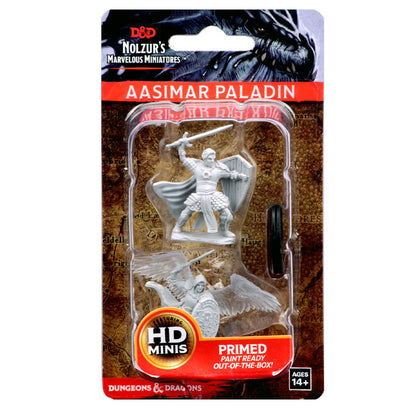 D&D Nolzurs Miniature - Aasimar Paladin Male