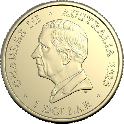 a gold coin with a portrait of a man