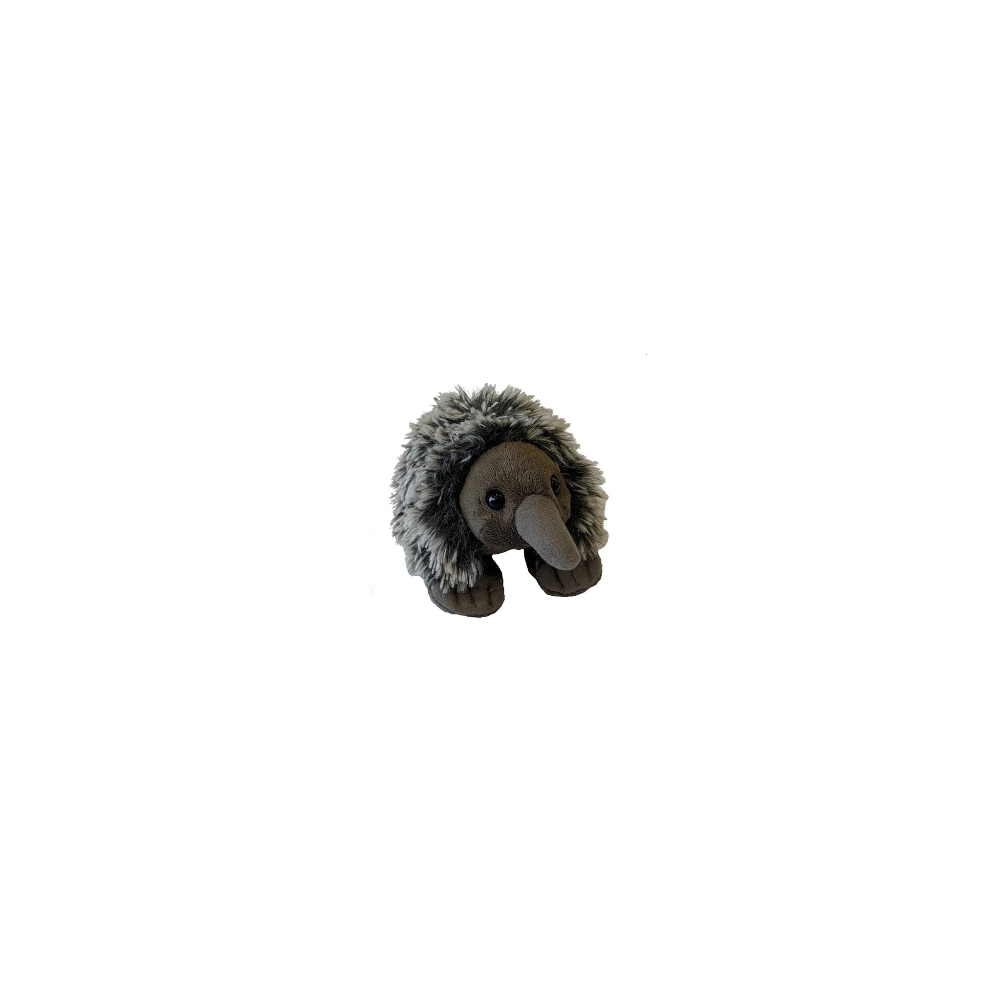 Echidna Eco Pocketkins plush toy by Wild Republic