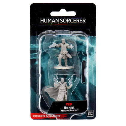 Pathfinder Deep Cuts Miniature - Male Human Sorcerer