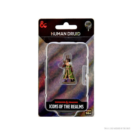 D&D Nolzurs Miniature - Human Druid