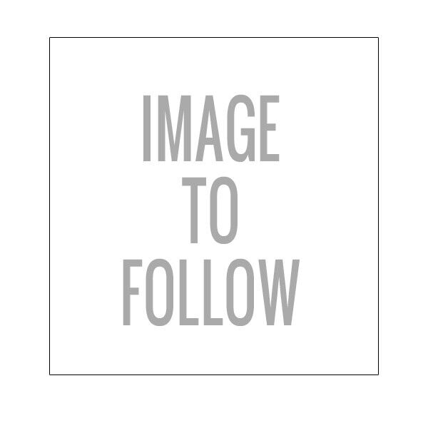 Hobby Brush - Starter