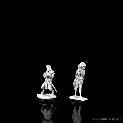 D&D Nolzur's Marvelous Miniatures - Satyr & Dryad packaging