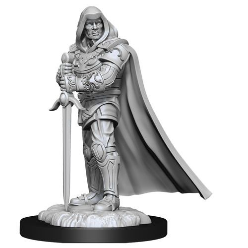 D&D Nolzurs Miniature - Human Paladin Male II