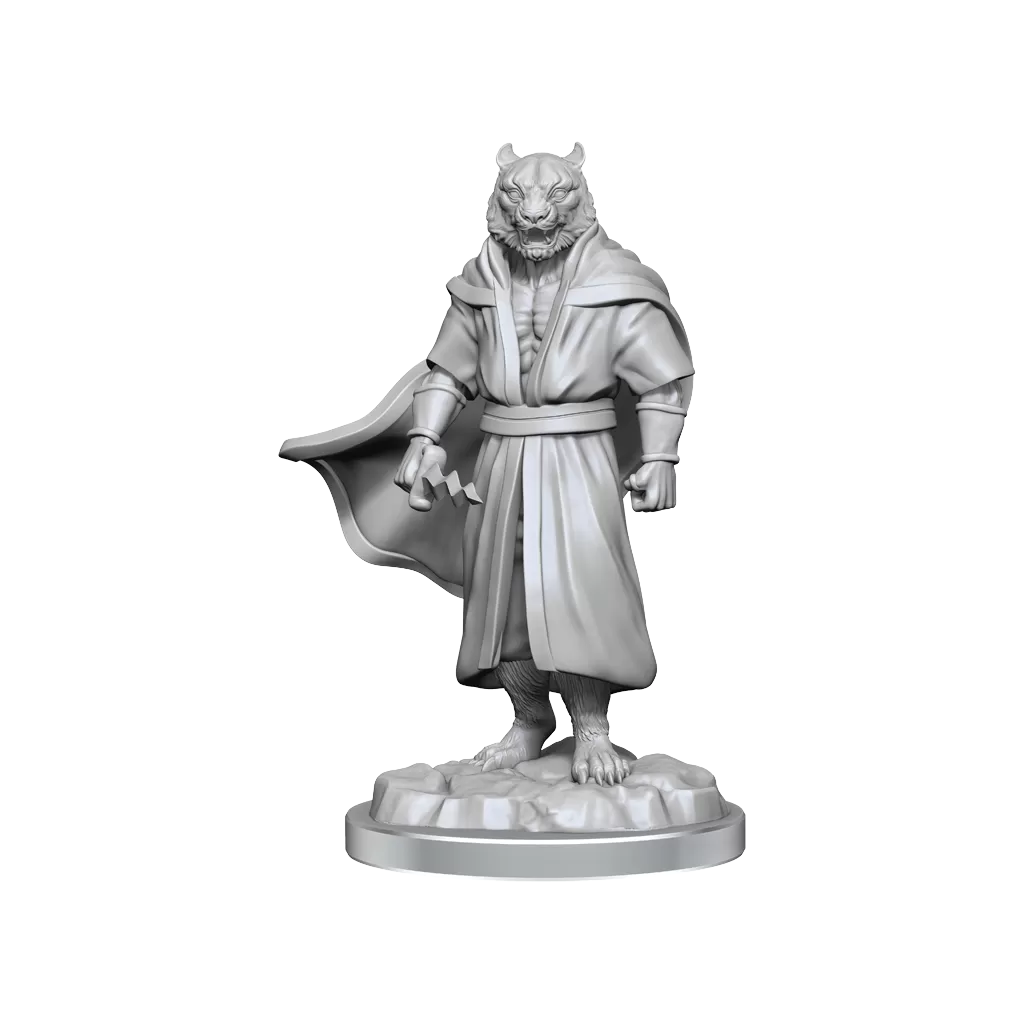 D&D Critical Role Miniatures - Human Male Sorcerer Merchant and Tiger Demon