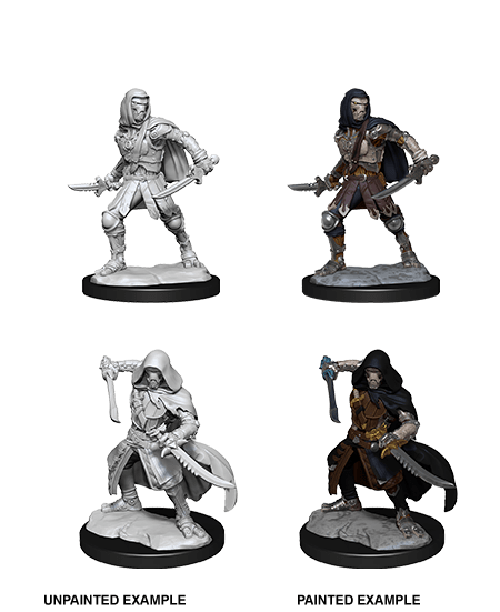 D&D Nolzurs Miniature - Warforged Rogue