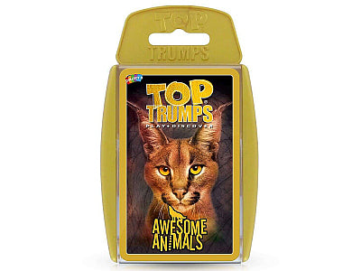 a card game with a cat on it