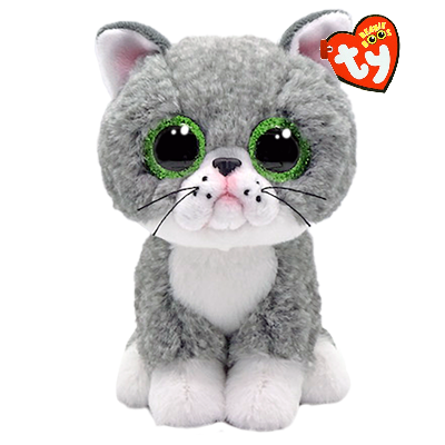 Furgus the Grey Cat