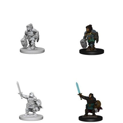 D&D Nolzurs Miniature - Dwarf Paladin Female
