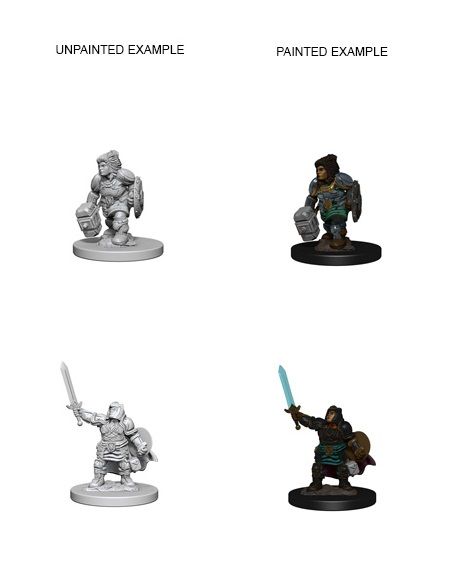 D&D Nolzurs Miniature - Dwarf Paladin Female