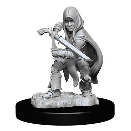 D&D Nolzurs Miniature - Halfling Rogue Male