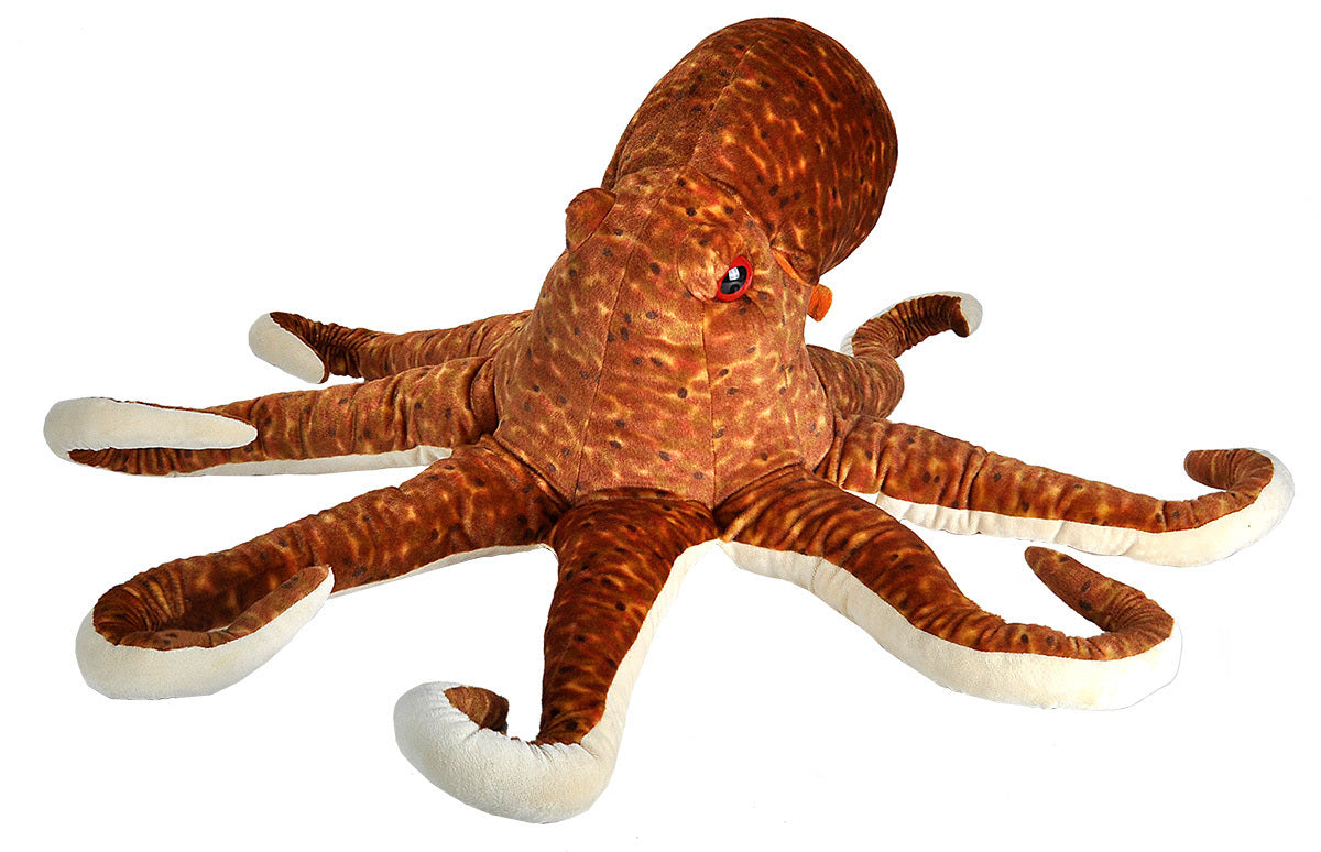 Jumbo Octopus