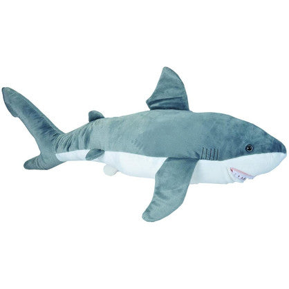 Jumbo Shark