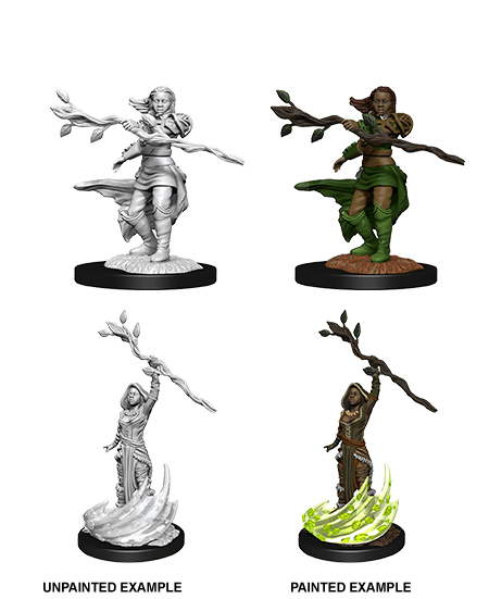 D&D Nolzurs Miniature - Human Druid Female