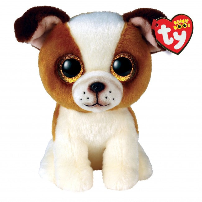 Hugo the Brown and White Dog