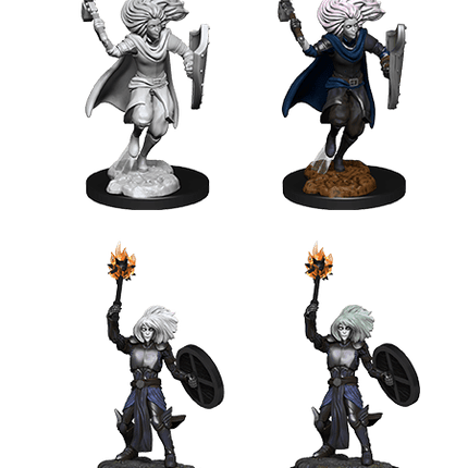 D&D Nolzurs Miniature - Changeling Cleric Female