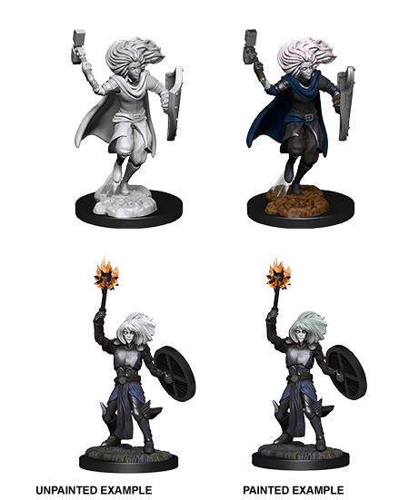 D&D Nolzurs Miniature - Changeling Cleric Female