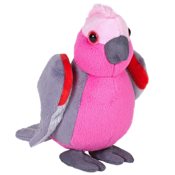 a pink and grey bird with a red beak