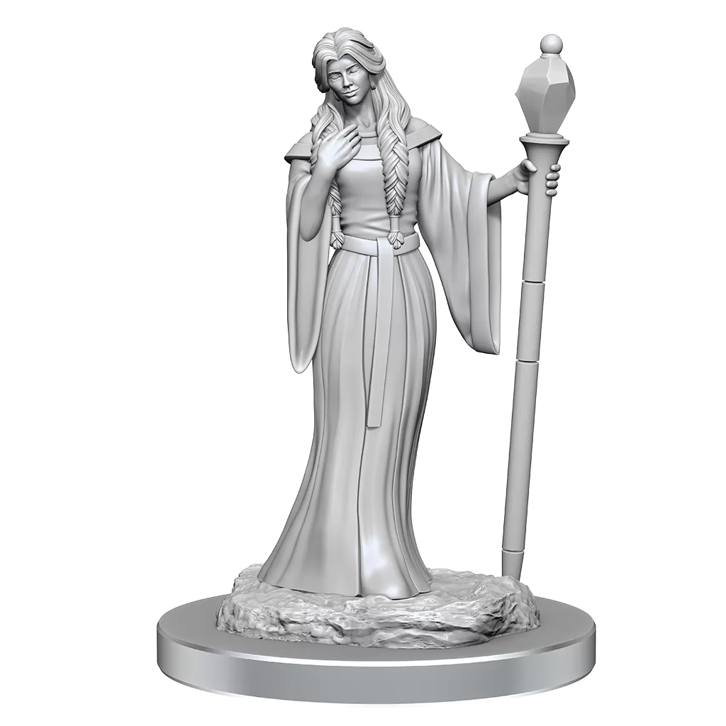 D&D Critical Role Miniatures - Female Human Wizard and Female Halfling Holy Warrior