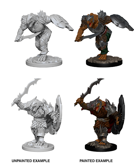 D&D Nolzurs Miniature - Dragonborn Fighter with shields