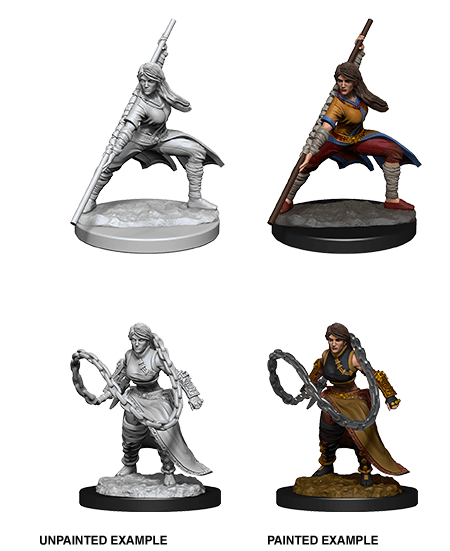 D&D Nolzurs Miniature - Human Monk