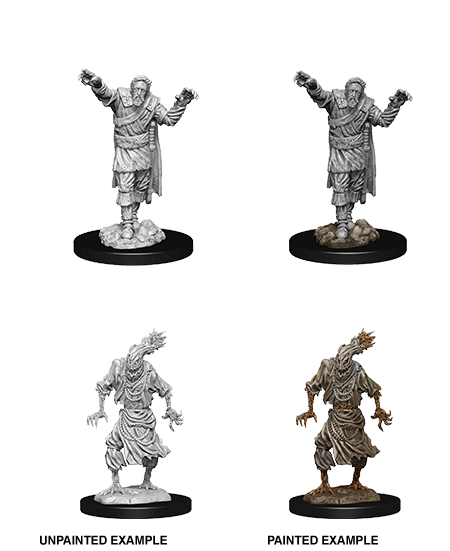 D&D Nolzurs Miniature - Scarecrow and Stone Cursed