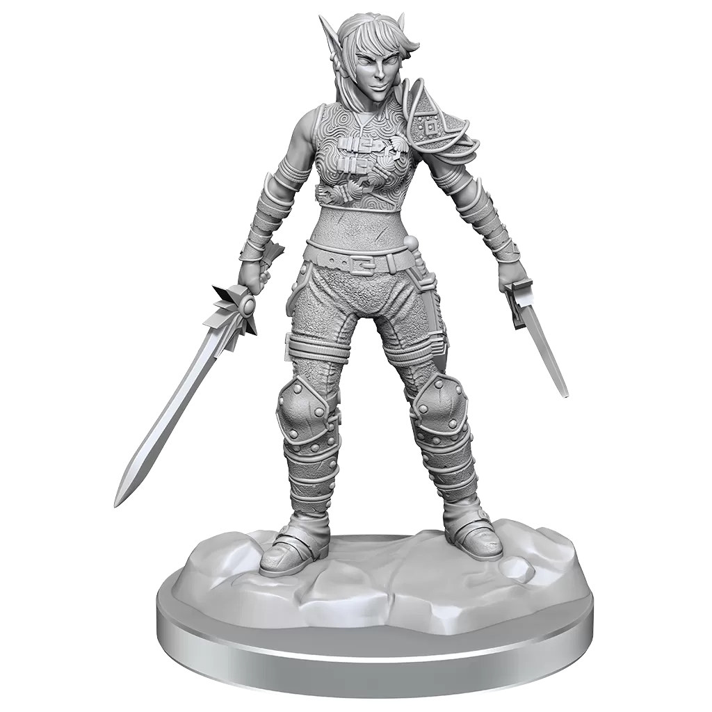 D&D Nolzurs Miniature - Elf Rogue and Half-Elf Rogue Protege