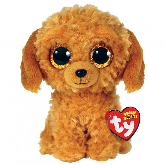 Noodles the Golden Doodle