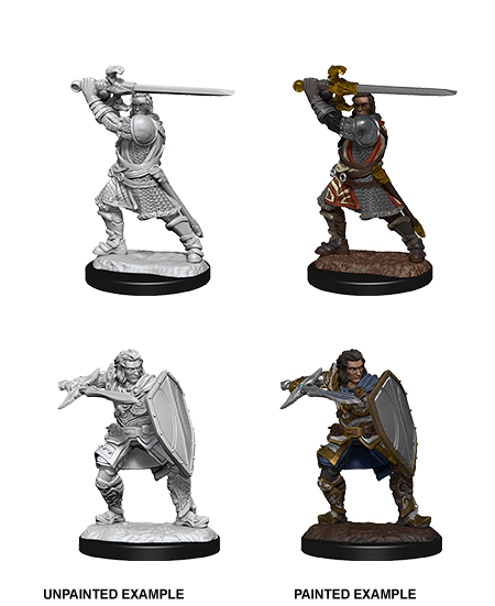 D&D Nolzurs Miniature - Human Paladin