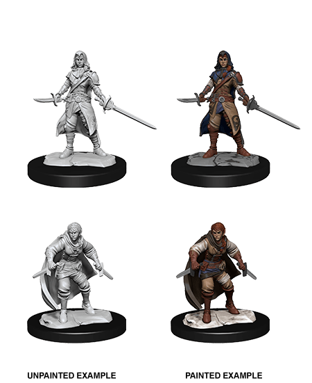 D&D Nolzurs Miniature - Half-Elf Rogue