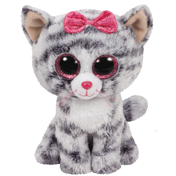 Kiki the Grey Cat