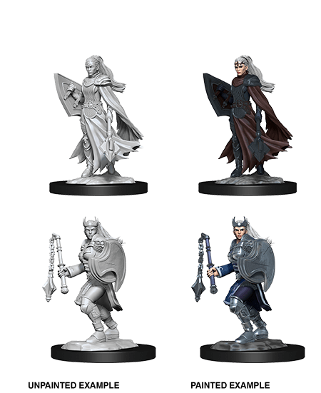 D&D Nolzurs Miniature - Kalashtar Cleric