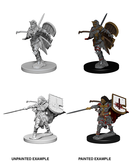 Pathfinder Deep Cuts Miniature - Human Female Paladin