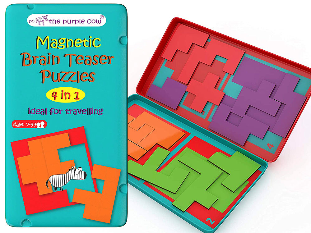 Magnetic - Brain Teaser Puzzles