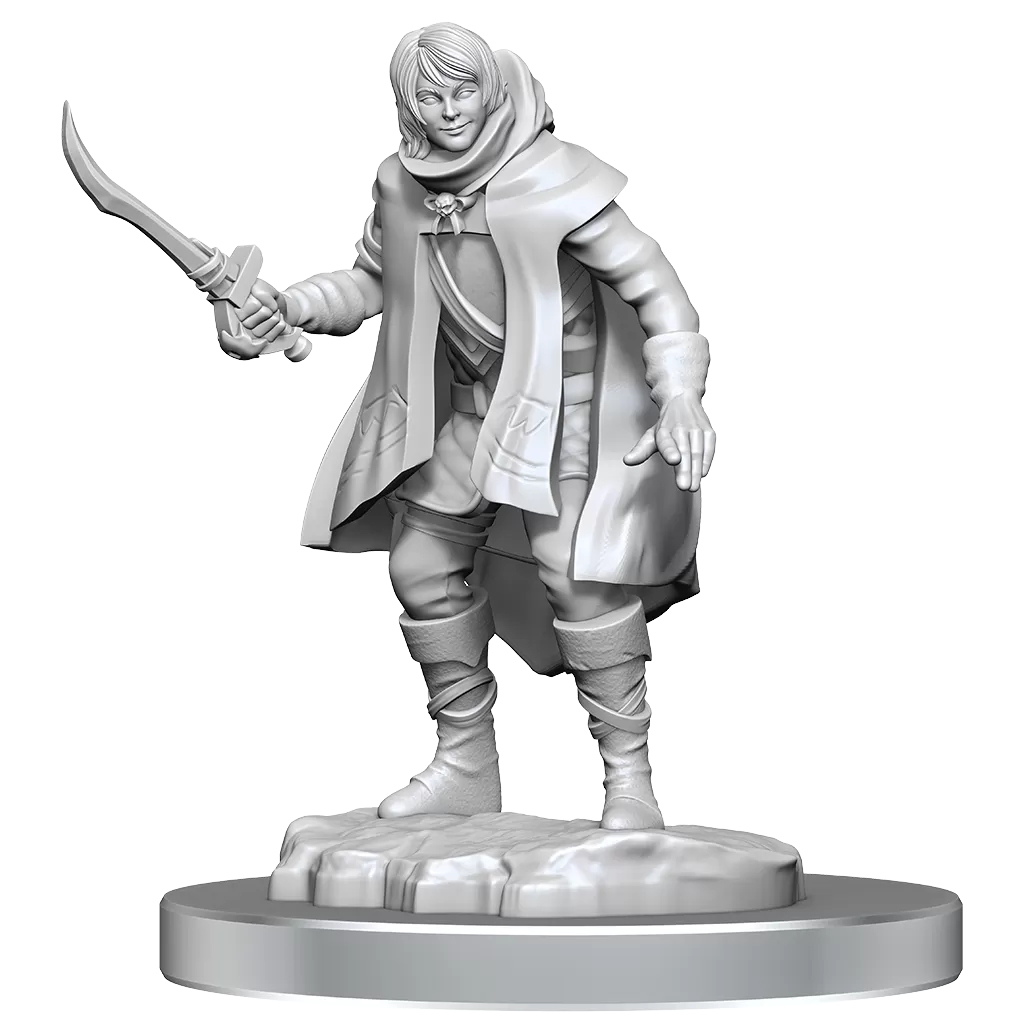 D&D Nolzurs Miniature - Elf Rogue and Half-Elf Rogue Protege